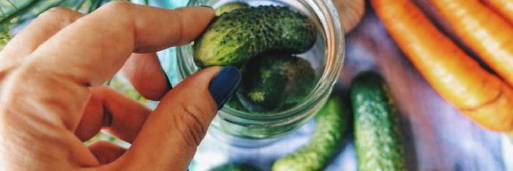 Лечо из огурцов