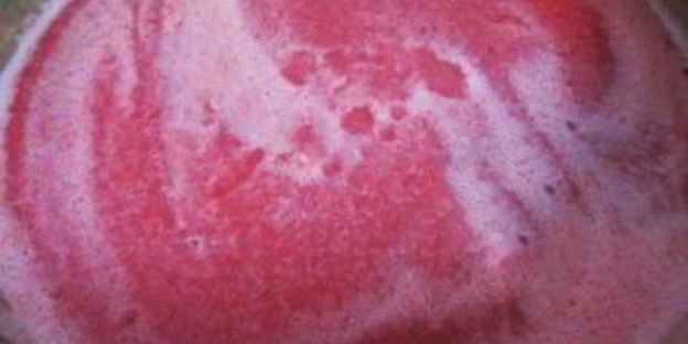 лечо пальчики оближешь