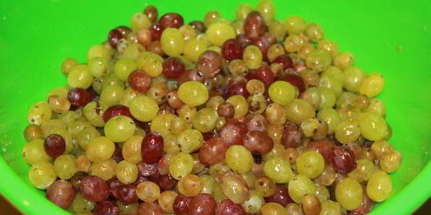 лечо с виноградным соком