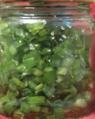 Лук зеленый на зиму