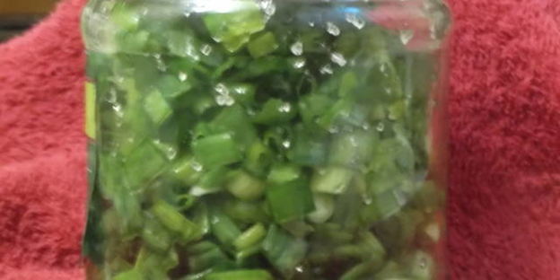 лук зеленый на зиму