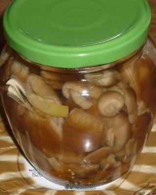 Грузди, маринованные в банке