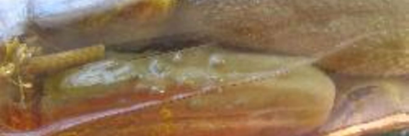 Мамины маринованные огурцы