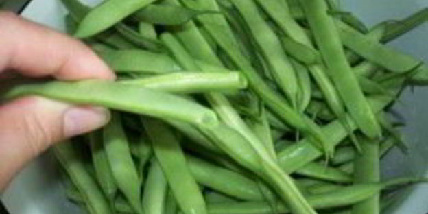 маринованная фасоль