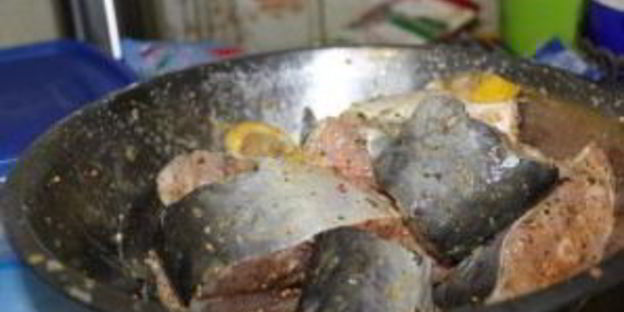 маринованный пангасиус