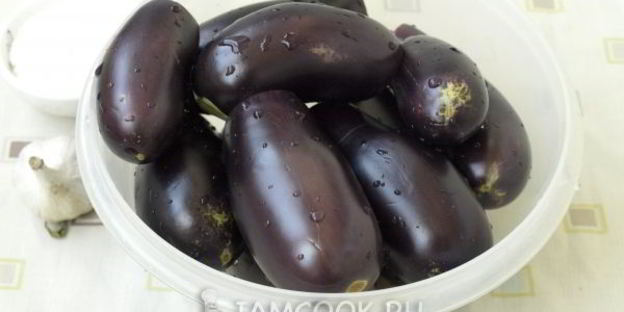 маринованные баклажаны целиком на зиму
