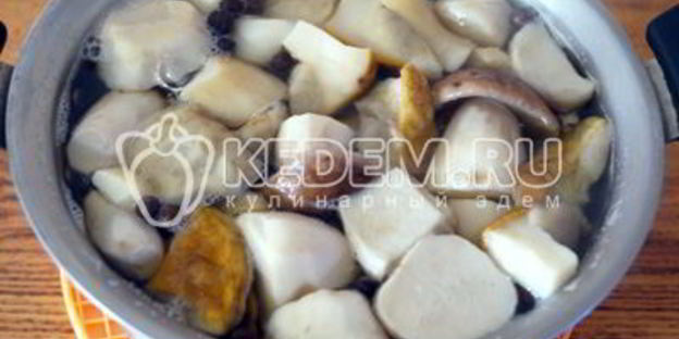 маринованные белые грибы закусочные