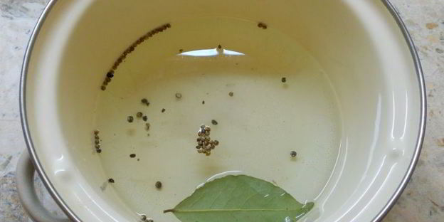 маринованные лесные грибы за 12 часов