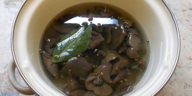 маринованные лесные грибы за 12 часов