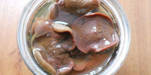 маринованные лесные грибы за 12 часов