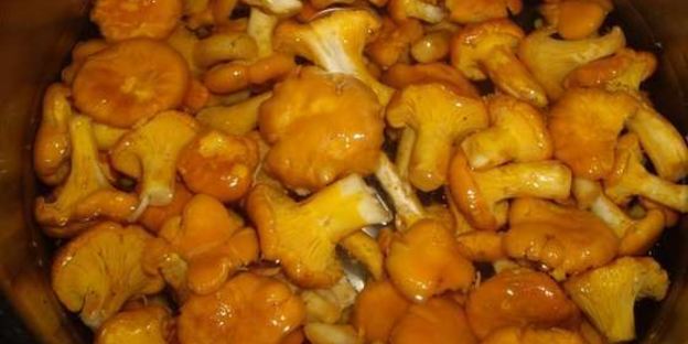 маринованные лисички