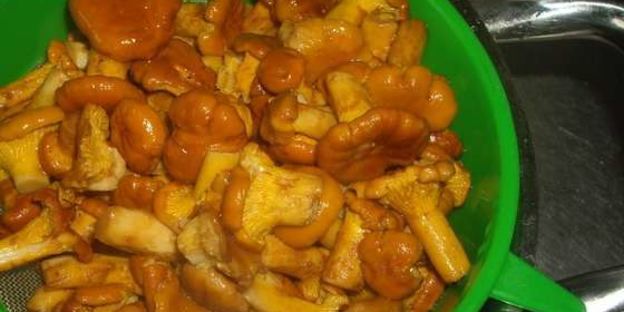 маринованные лисички