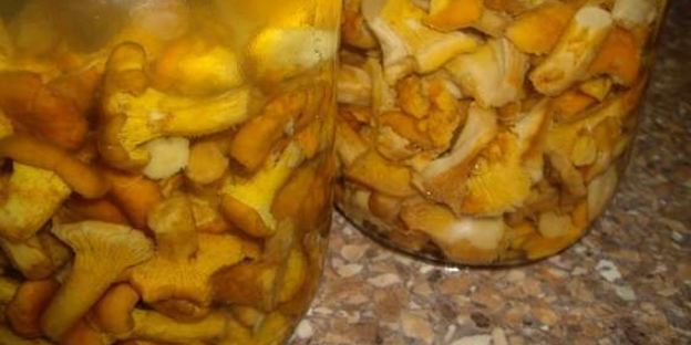 маринованные лисички