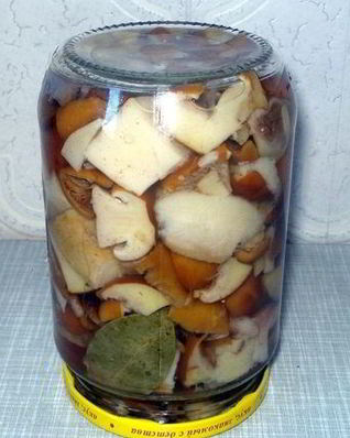 Маринованные маслята без уксуса