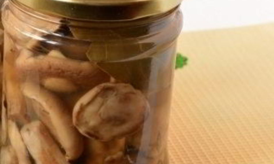 Рецепт маринованных маслят с горчицей