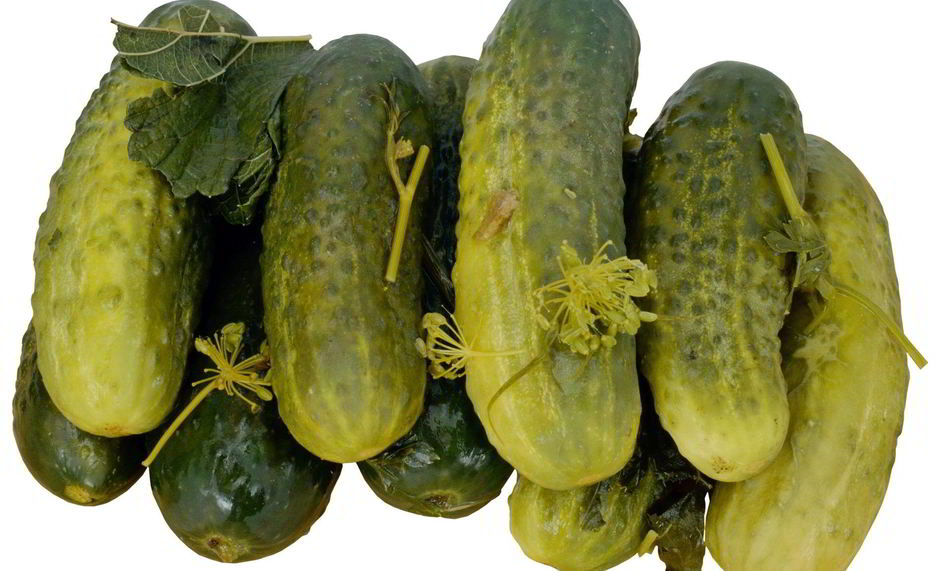 Рецепт маринованных огурцов без стерилизации