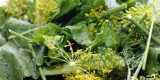 маринованные огурцы без стерилизации