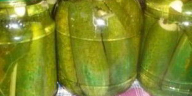 маринованные огурцы без стерилизации