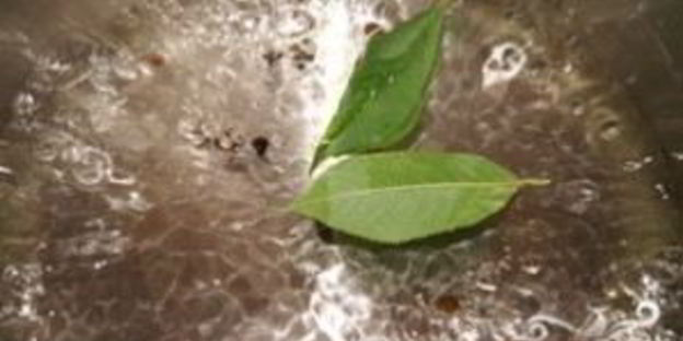 маринованные огурцы хрустящие