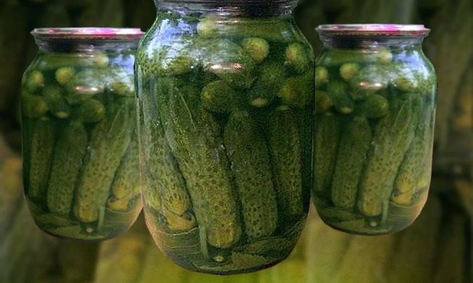 Рецепт маринованных огурцов по-болгарски на зиму