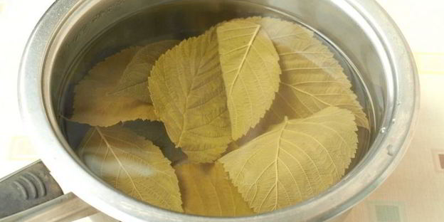 маринованные огурцы по-польски