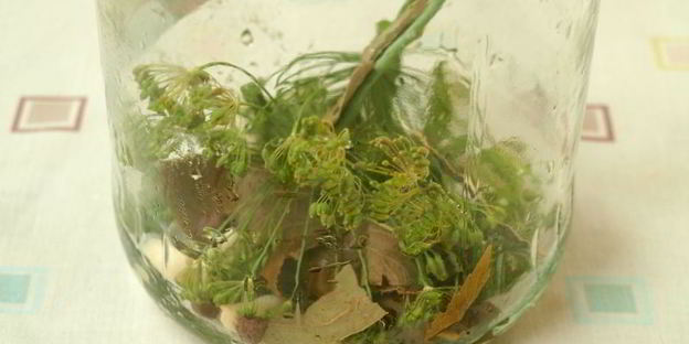 маринованные огурцы по-польски