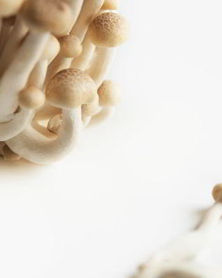 Маринованные опята