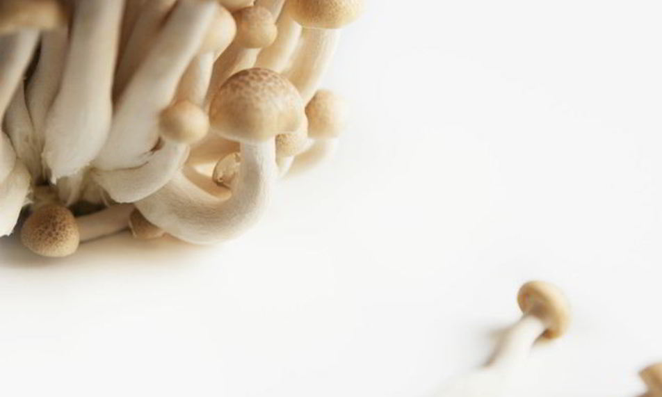 Рецепт маринованных опят