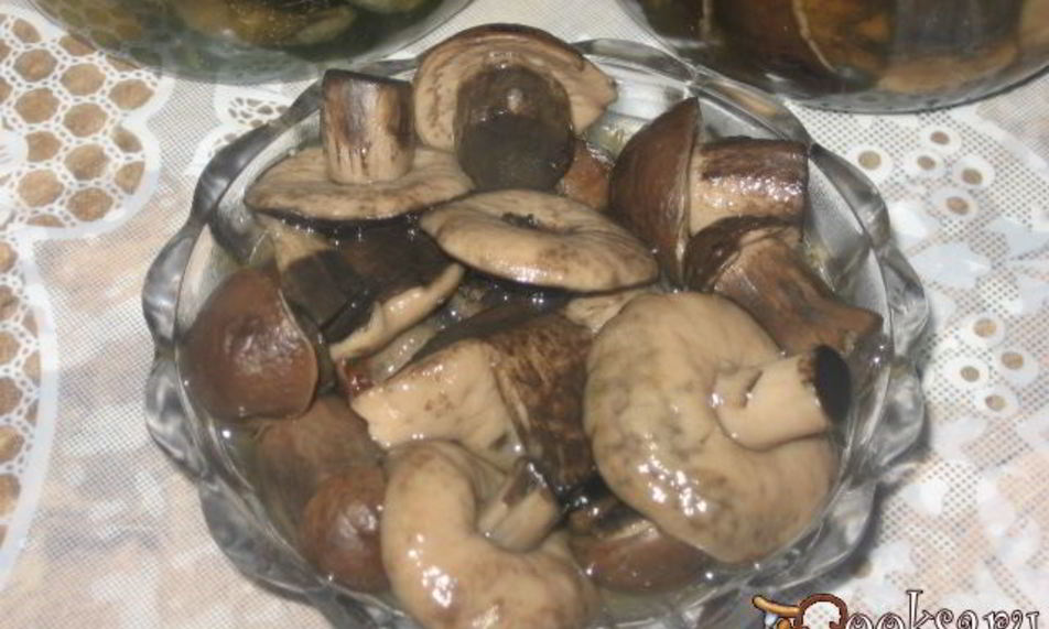 Рецепт маринованных подберезовиков на зиму
