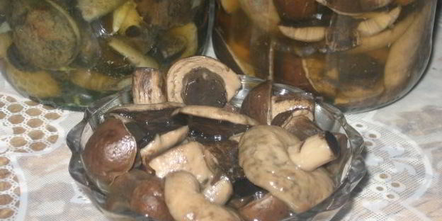 маринованные подберезовики на зиму