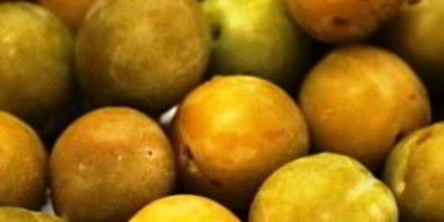 маринованные сливы