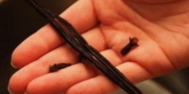 маринованные сливы