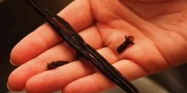 маринованные сливы