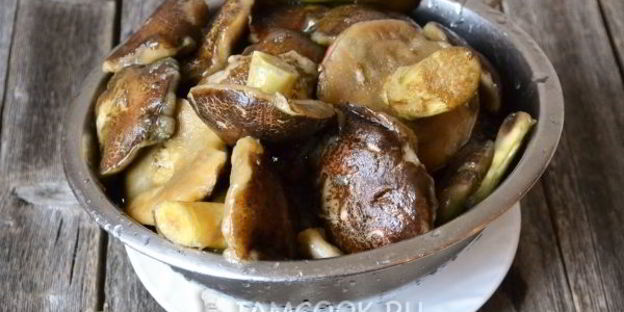 моховики маринованные