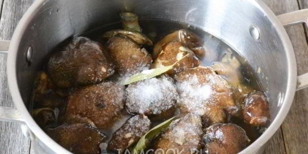 моховики маринованные