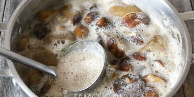 моховики маринованные