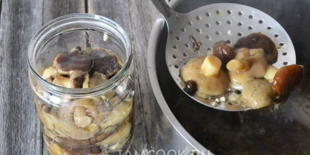 моховики маринованные