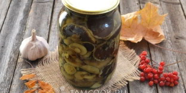 моховики маринованные