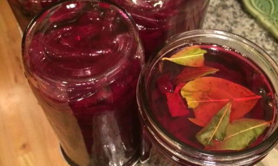 Рецепт свеклы маринованной