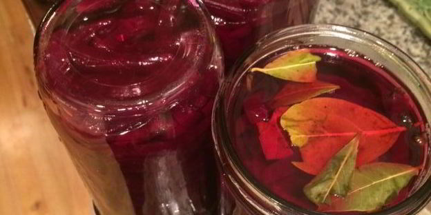 свекла маринованная