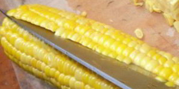 молодая кукуруза на зиму