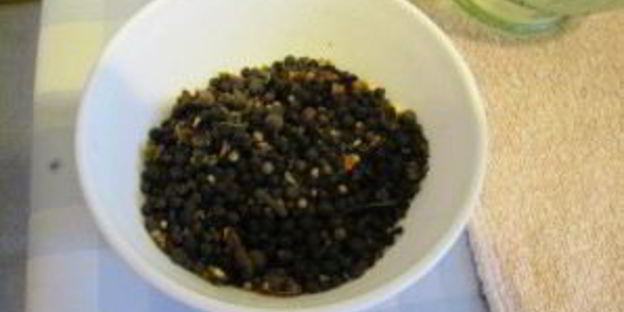 огурцы без уксуса на зиму