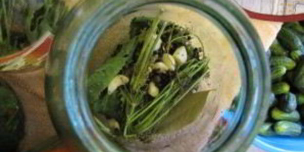 огурцы без уксуса на зиму