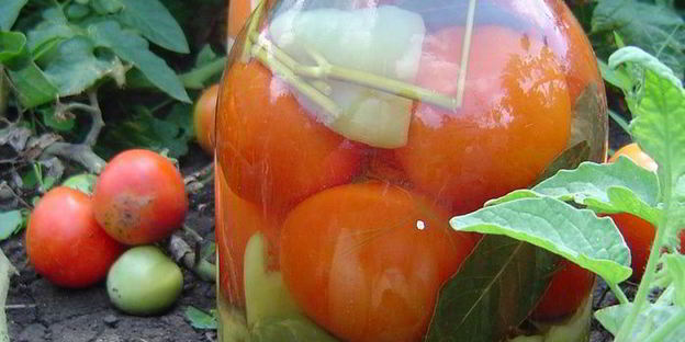 овощное ассорти на зиму