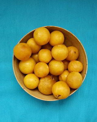 Повидло из алычи