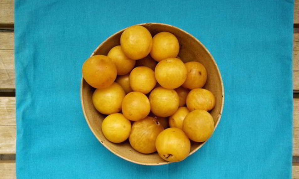 Рецепт повидла из алычи