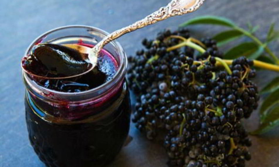 Рецепт повидла из бузины