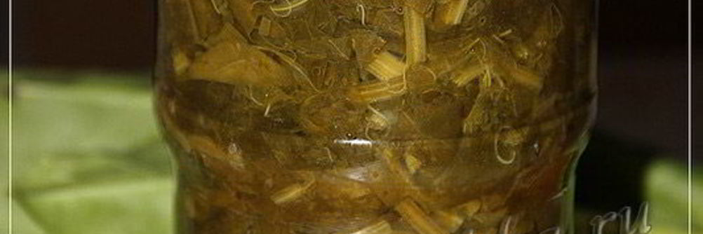 Щавель на зиму