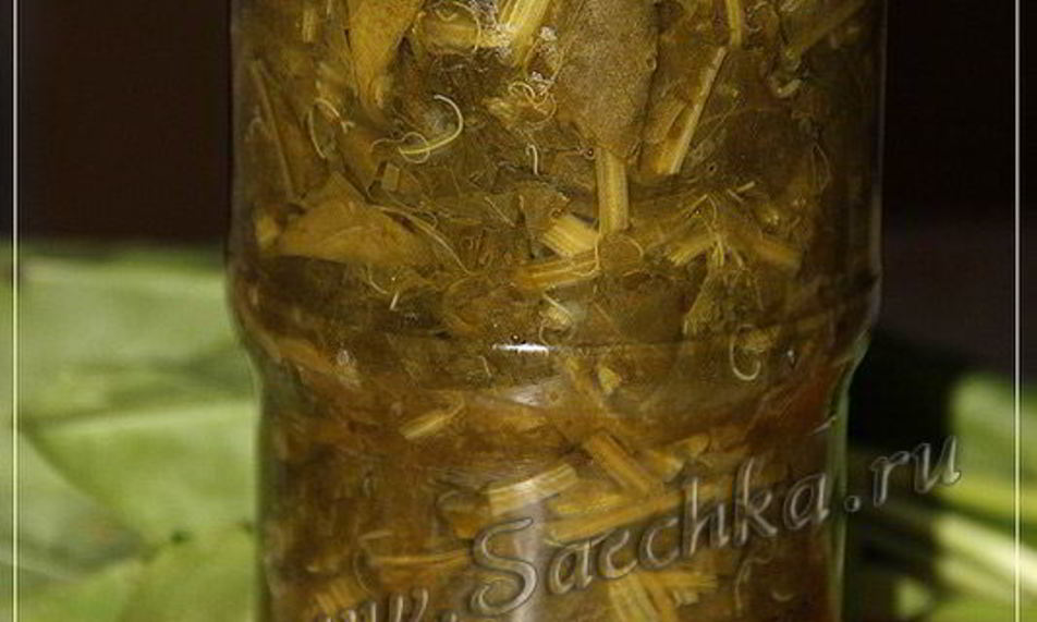 Рецепт щавеля на зиму