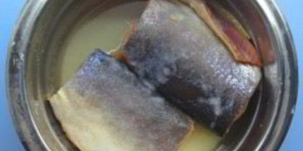 горбуша соленая